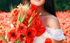 媚娘原创系列全集